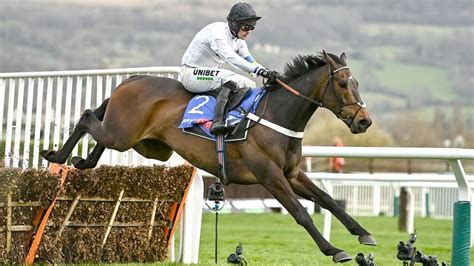 champion hurdle predictions|Champion Hurdle Tips, Expert Predictions 2024 .